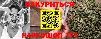 тгк Новодвинск