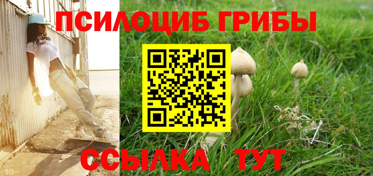 Галлюциногенные грибы GOLDEN TEACHER  Вход с VPN  Урус-Мартан 